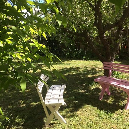Kookaburra Cottage Castlemaine Dış mekan fotoğraf
